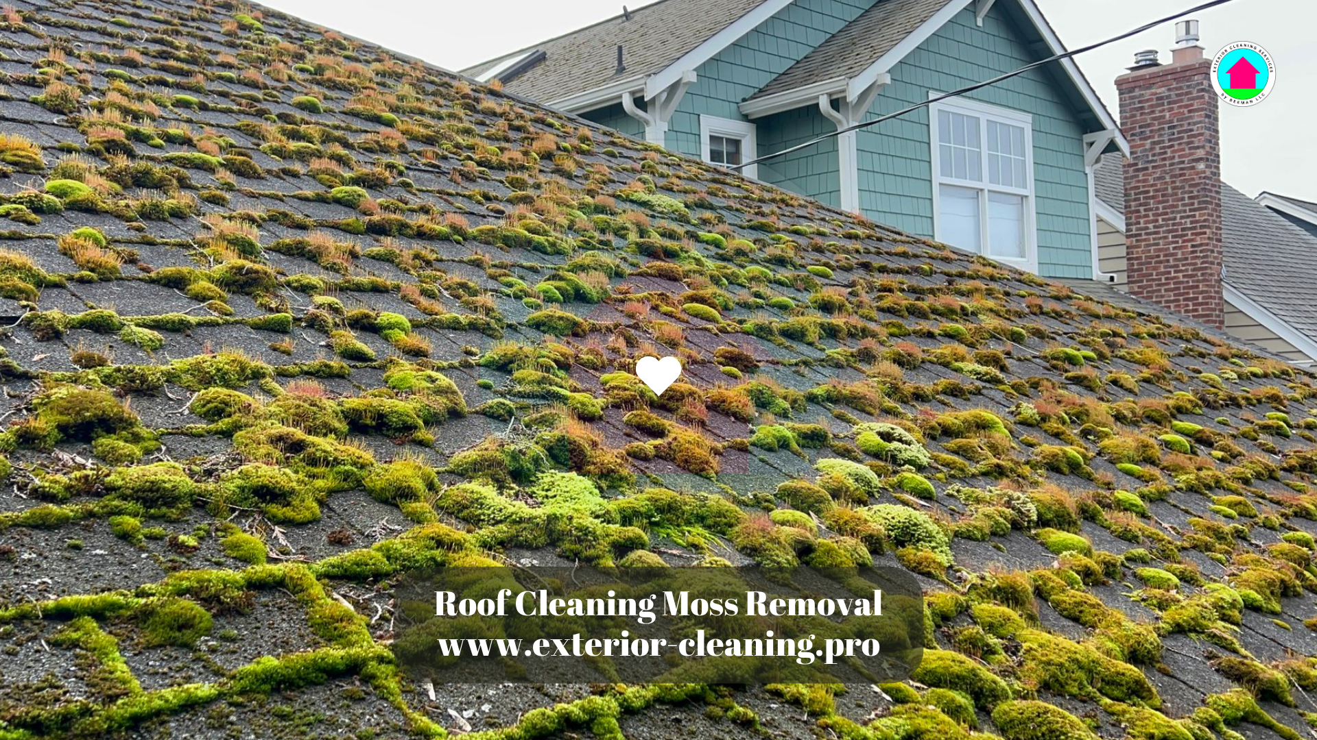 Moss Removal Sammamish, WA
