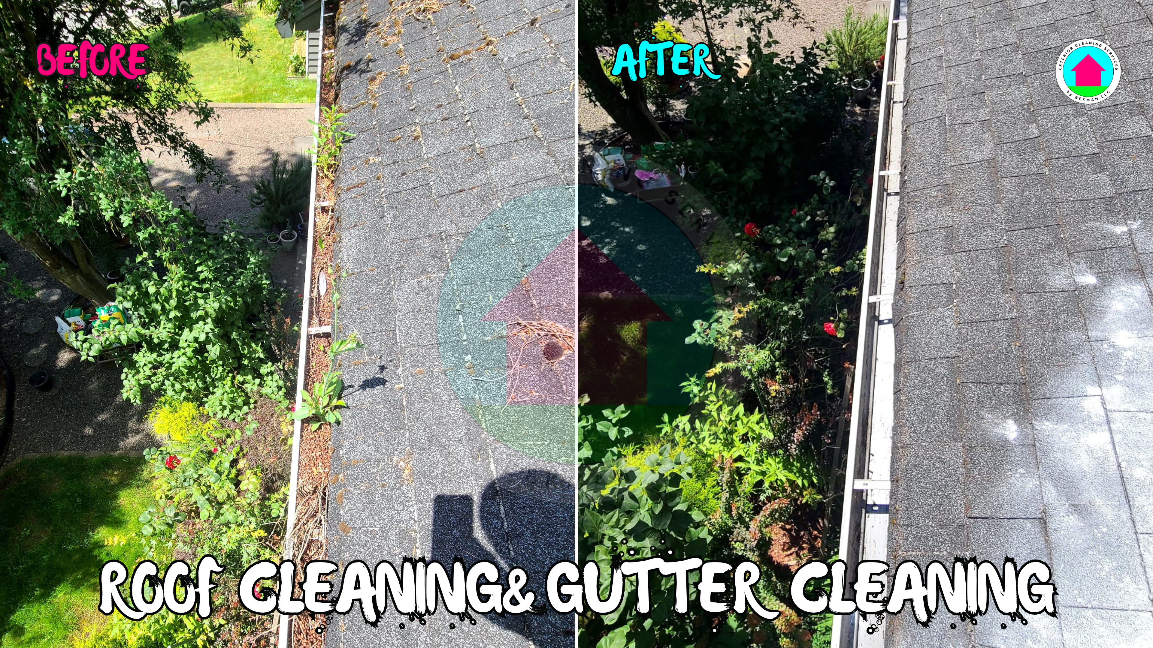The photograph shows an asphalt shingle roof. One half of the roof is covered with leaves, needles, and small twigs, while the other half is cleaned. The photo demonstrates the work of an exterior cleaning service to clean the gutters and roof without removing moss.