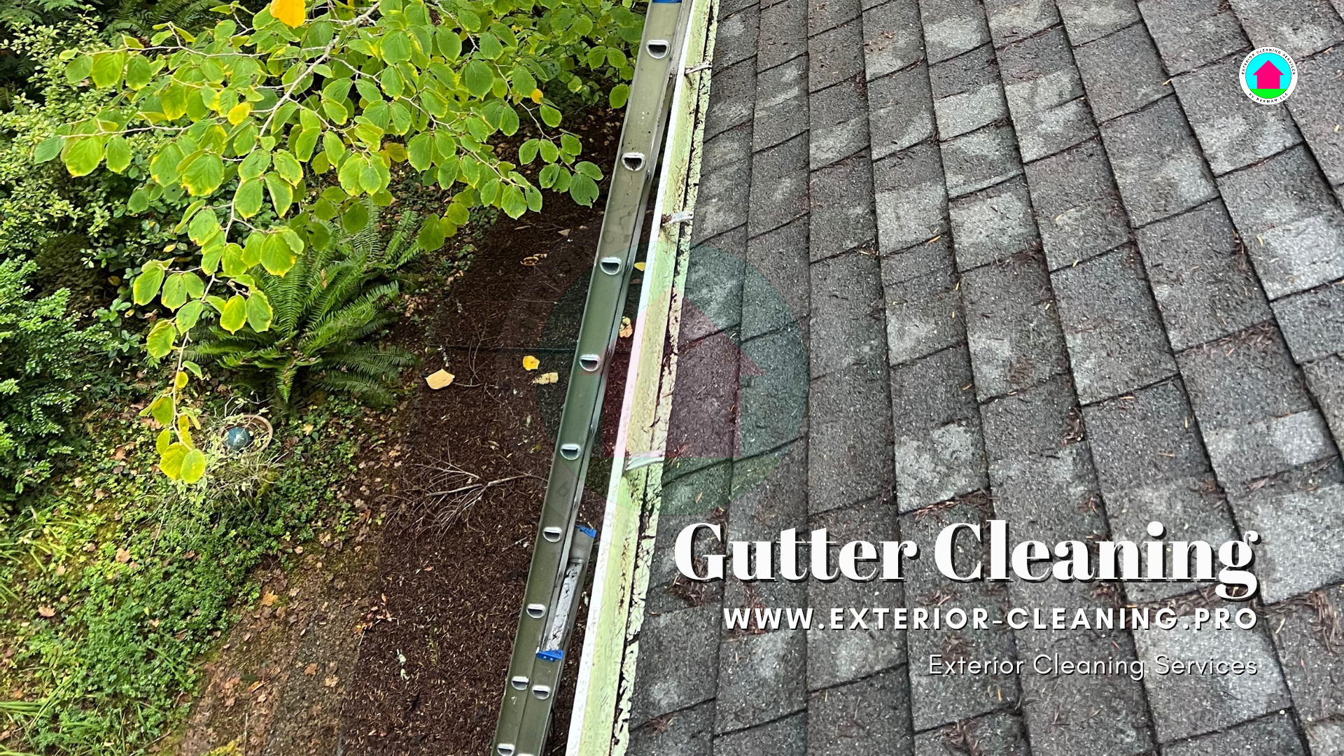 Gutter Cleaning Service Bellevue WA