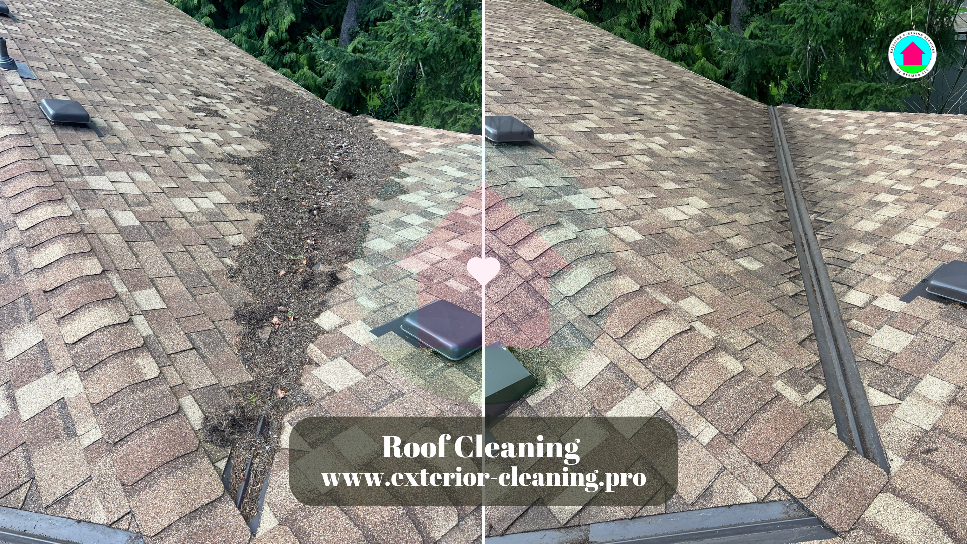 Roof and Gutter Cleaning in Bellevue WA