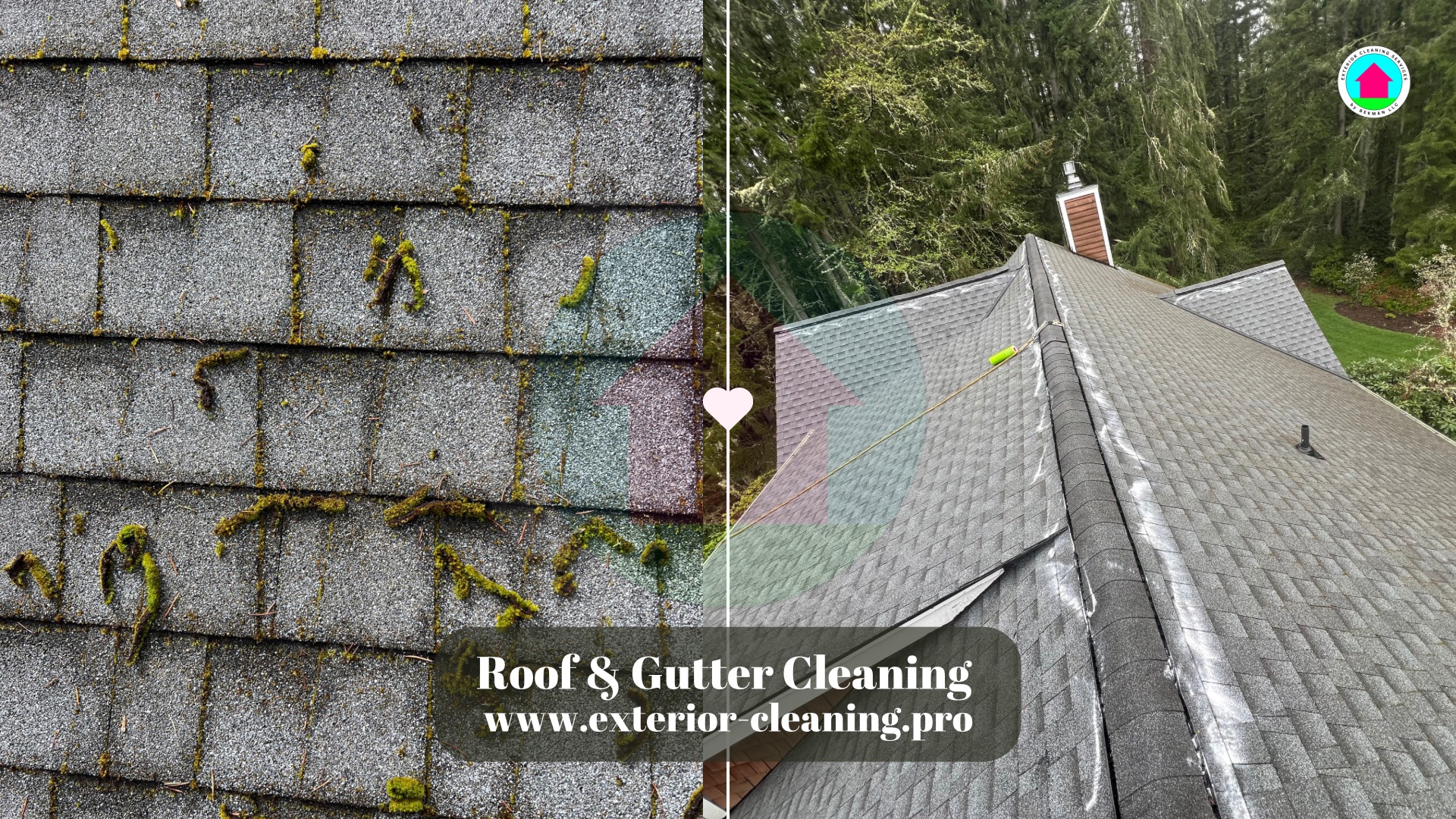 Why Moss Grows So Fast on Roofs in WA